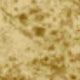 Crushed Velvet — Gold