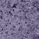 Crushed Velvet – Purple